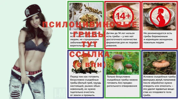 ешки Армянск