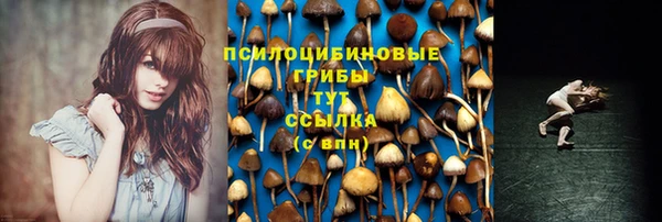 амф Аркадак