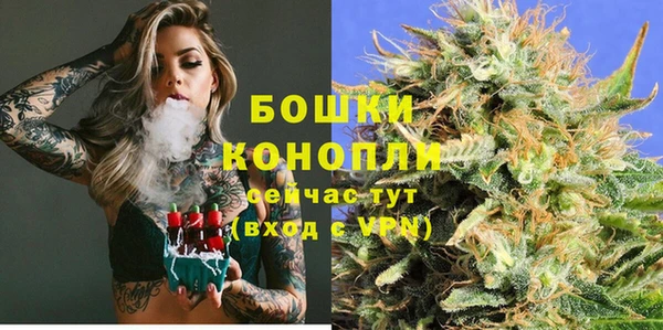амф Аркадак