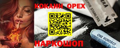 крисы Кулебаки