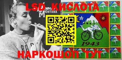 крисы Кулебаки