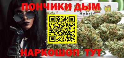 крисы Кулебаки
