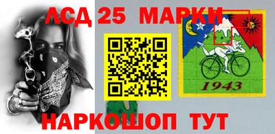 крисы Кулебаки