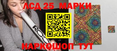 крисы Кулебаки