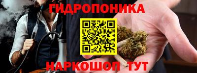 крисы Кулебаки