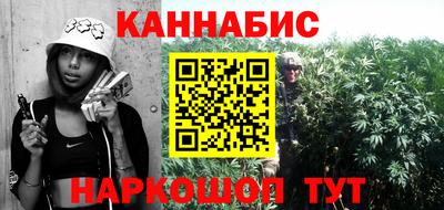 крисы Кулебаки