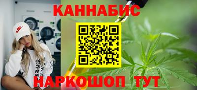 крисы Кулебаки